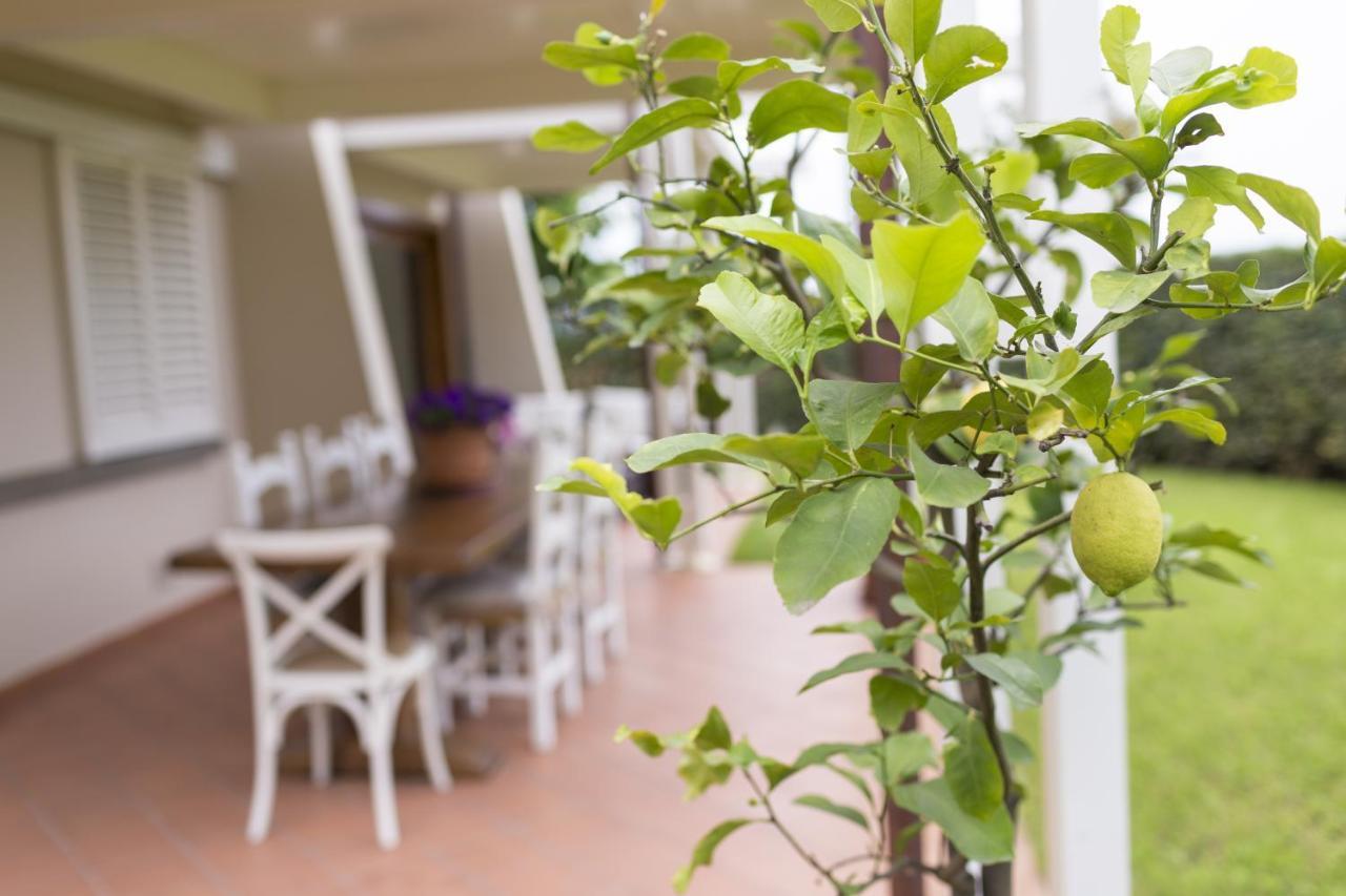B&B Cava Rossa Monsummano Terme Exteriör bild